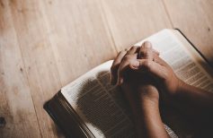 How to pray for grace in the Marian Month How to pray for grace in the Marian Month