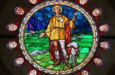 Saint Roch and the Dog: A Bond from the Middle Ages saint roch and the dog