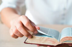 The History of the Dogmas of the Catholic Church the history of dogmas