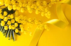 Symbols of strength and love, here are the patron saints of women