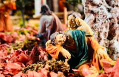 The Mount of Olives, among the places dearest to Jesus The Mount of Olives