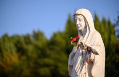 The apparitions of Maria Rosa Mystica and its Sanctuary in Fontanelle The apparitions of Maria Rosa Mystica and its Sanctuary in Fontanelle