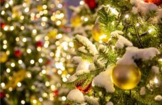 How Much Do Christmas Lights Consume: Our Guide consume of the christmas lights