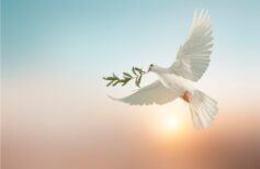 The Most Beautiful Quotes on Peace by Pope Francis Peace