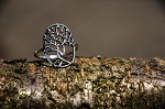 Jewellery with the Tree of Life