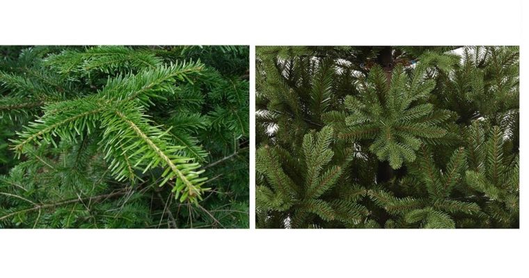 Künstlicher oder echter Weihnachtsbaum? Pro und Contra