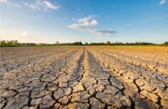 francesco antonio fasani