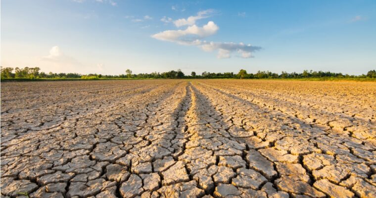 Francesco Antonio Fasani, der Heilige, den man um Regen bittet