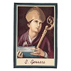 wandteppich-hl.-januarius-65x45cm