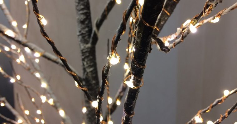 5 Árboles de Navidad extraños