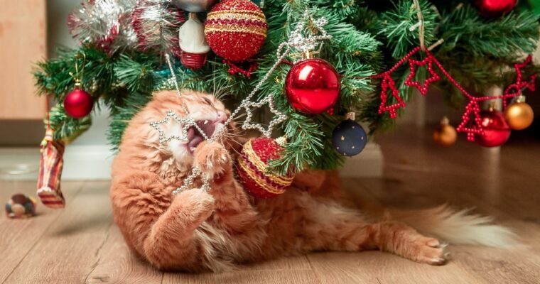 Convivencia entre gato y árbol de Navidad: algunos consejos prácticos