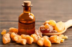 Remedios naturales contra los mosquitos
