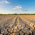 Saint François Antoine Fasani, le saint à invoquer pour la pluie Saint François Antoine Fasani