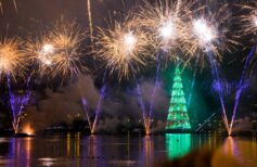 Le sapin de Noël le plus beau au monde