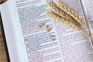 Toutes les paraboles de Jésus