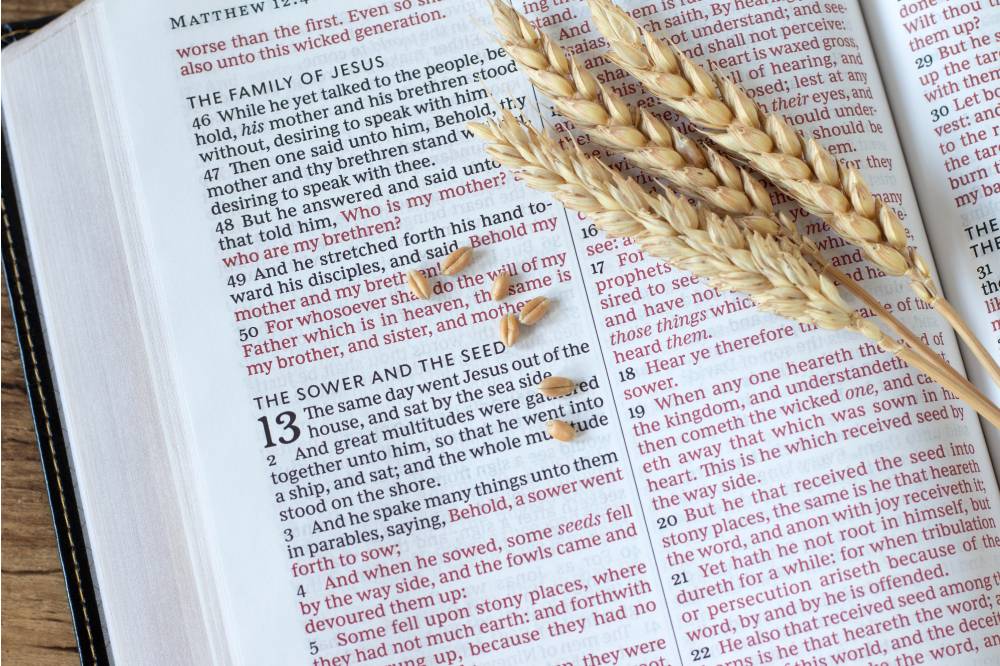 Toutes les paraboles de Jésus