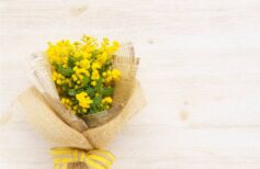 Journée internationale des Femmes