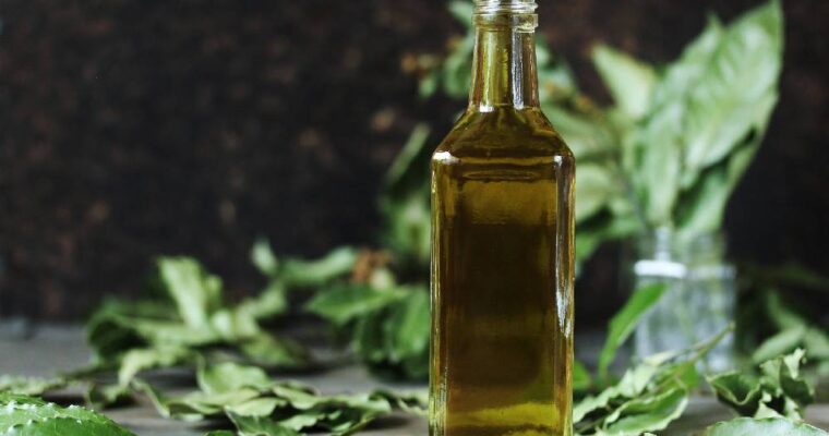 Liqueur au Laurier : Laurus 48 des frères Camaldules