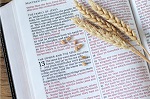 Toutes les paraboles de Jésus