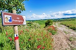 Via Francigena 