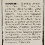 Ingredienti dell'Olio 31