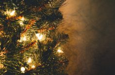 Come mettere le luci sull'albero di Natale luci di natale
