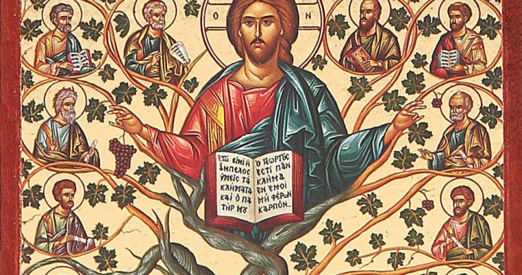 Il significato dell’albero della vita