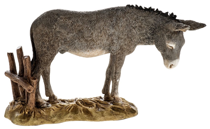 Asinello Landi 18 cm