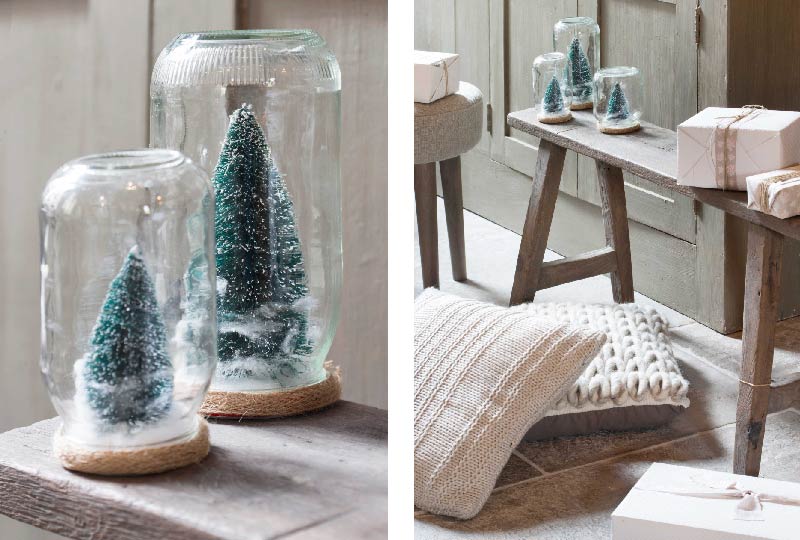 Alberelli sottovuoto