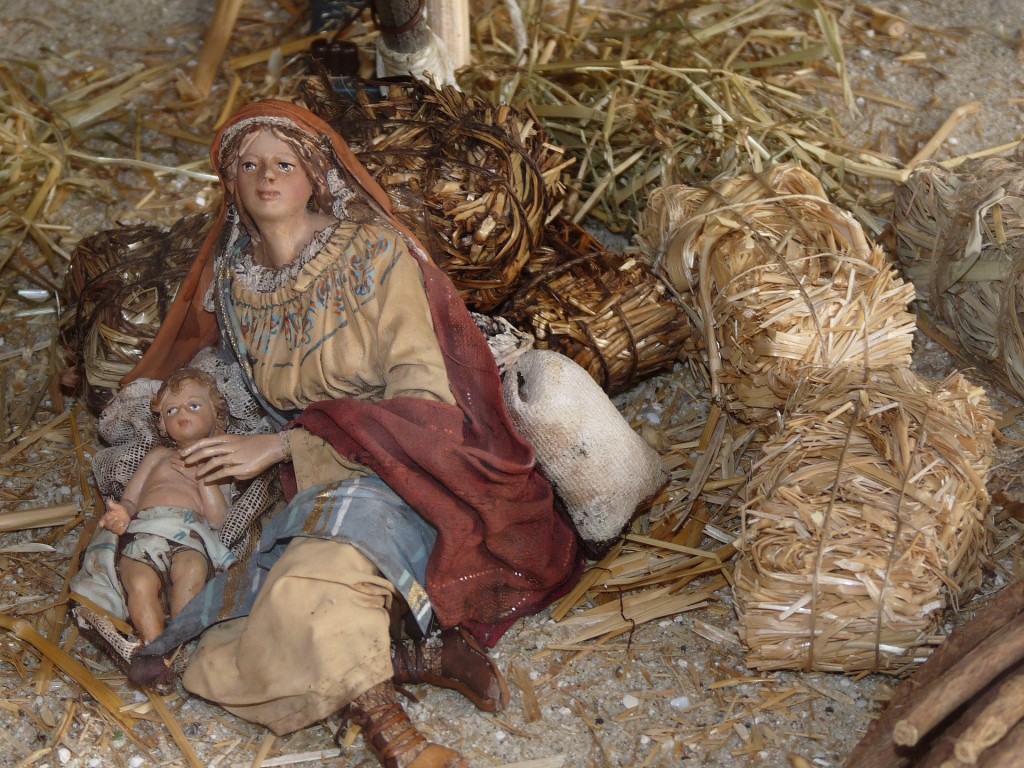 muschio per presepe