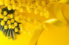 Simboli di forza e amore, ecco i Santi protettori delle donne festa delle donne