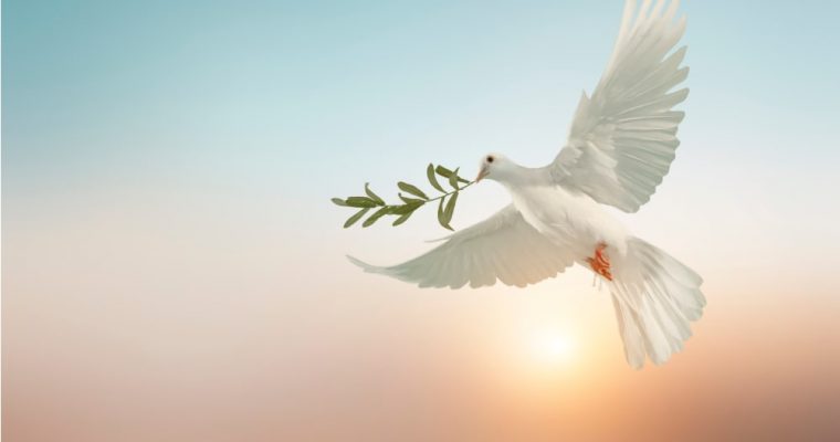 Le più belle frasi sulla Pace di Papa Francesco