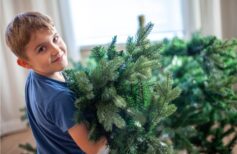 Guida su come conservare le palline e gli addobbi di Natale Come conservare le palline di Natale