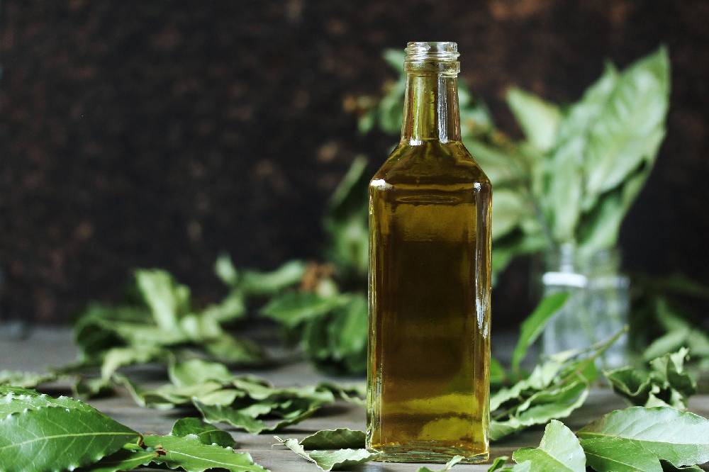 Liquore all’Alloro: Laurus 48 dei frati Camaldolesi