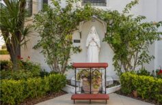 Santi americani: storie di fede dal mondo da non perdere santi americani