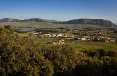 Festa in onore alla Madonna Odigitria nella Piana degli Albanesi madonna odigitria piana degli albanesi