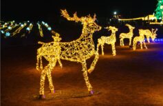 Decorazioni con animali natalizi: renne, orsi polari e altri simboli del Natale animali natalizi