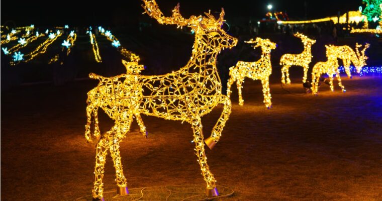 Decorazioni con animali natalizi: renne, orsi polari e altri simboli del Natale