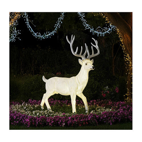 luce natale cervo led bianco per esterni 105x85x65 cm