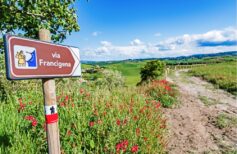Via Francigena: Jeden z najstarszych szlaków pielgrzymkowych via francigena