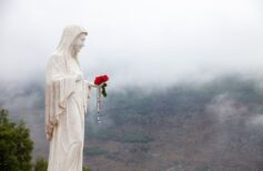 Symbole maryjne: czym są i jakie mają znaczenie Symbole maryjne