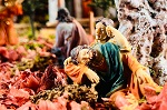 O Monte das Oliveiras