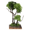 arvore-com-liquen-na-rocha-13x8x8-cm